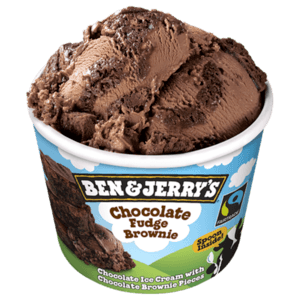 Ben & Jerry's - Chocolate Fudge Brownie (100 mL)