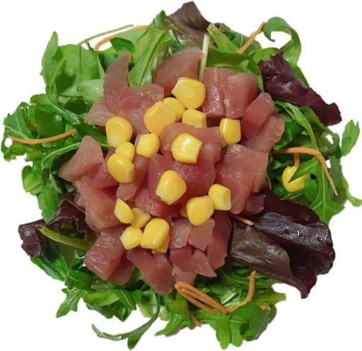 58. Tonijn salade